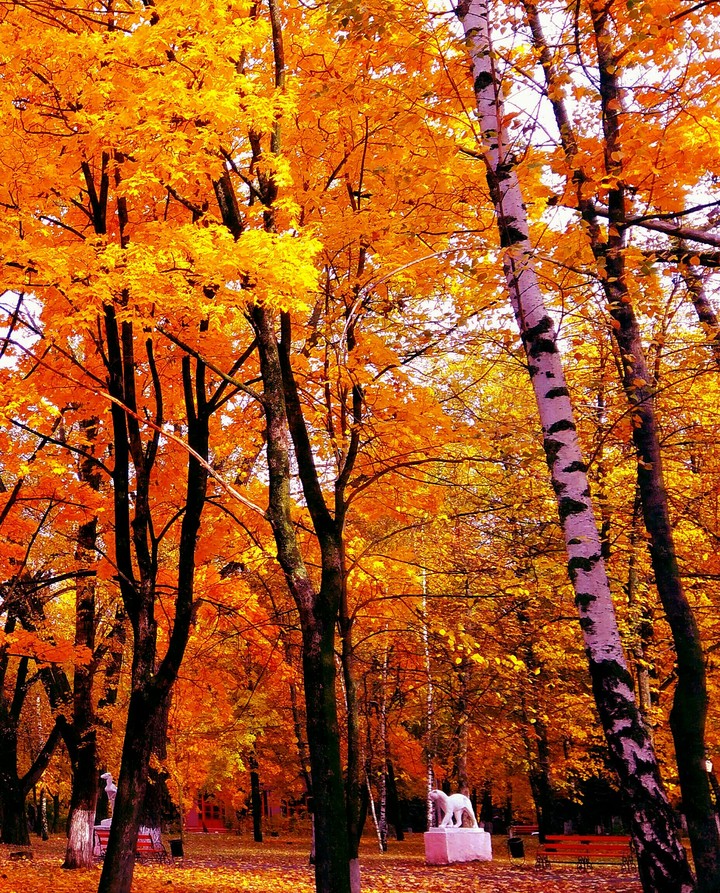 autumn