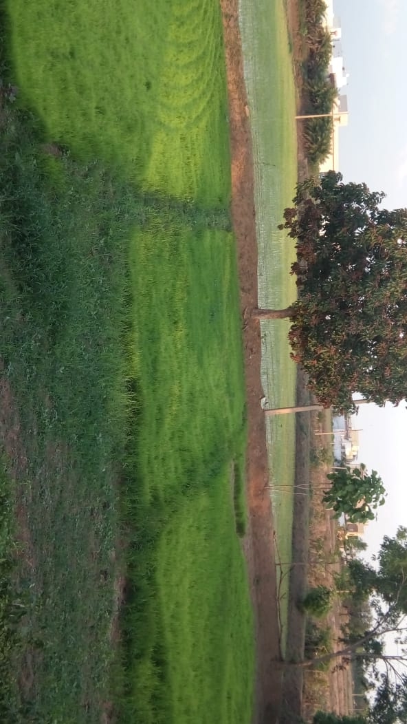village