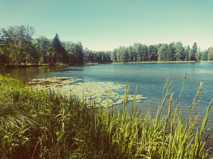 Gatchina