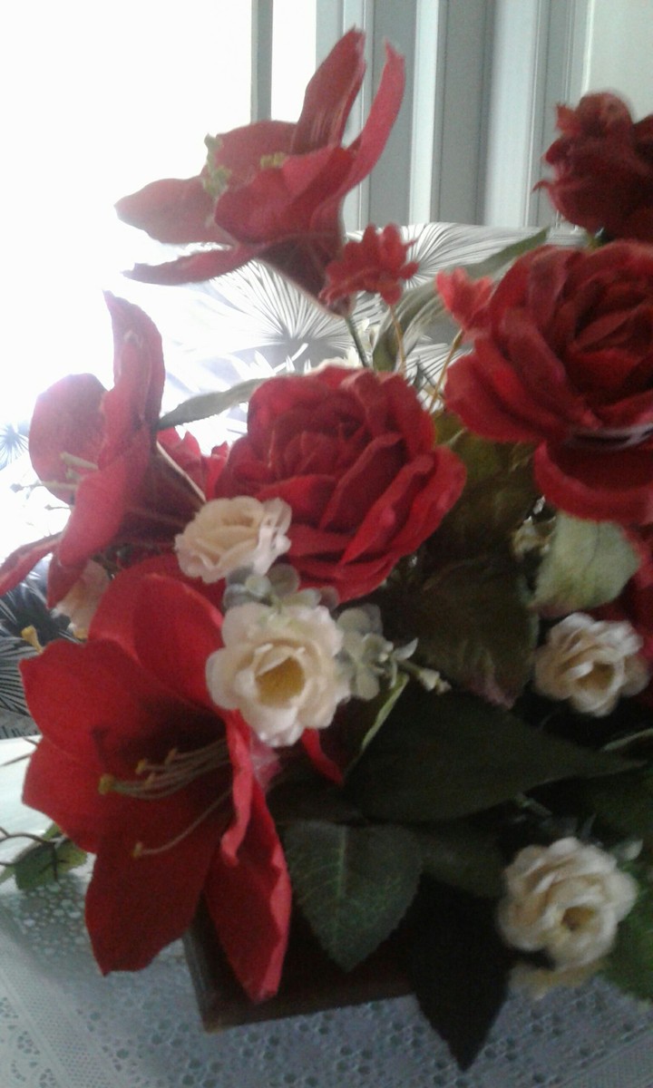 rosa