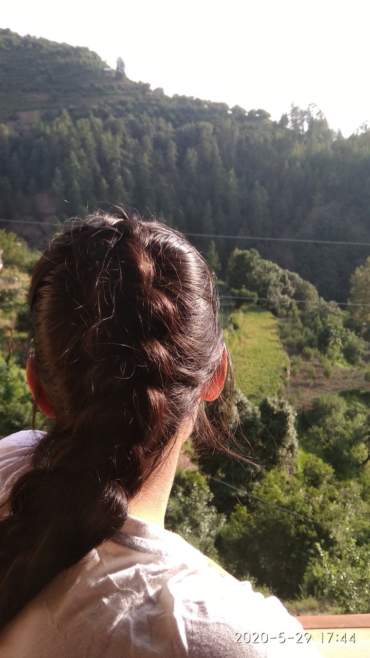 Hairstyle