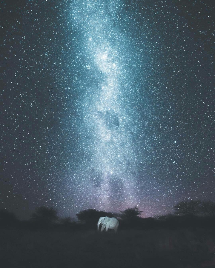✨