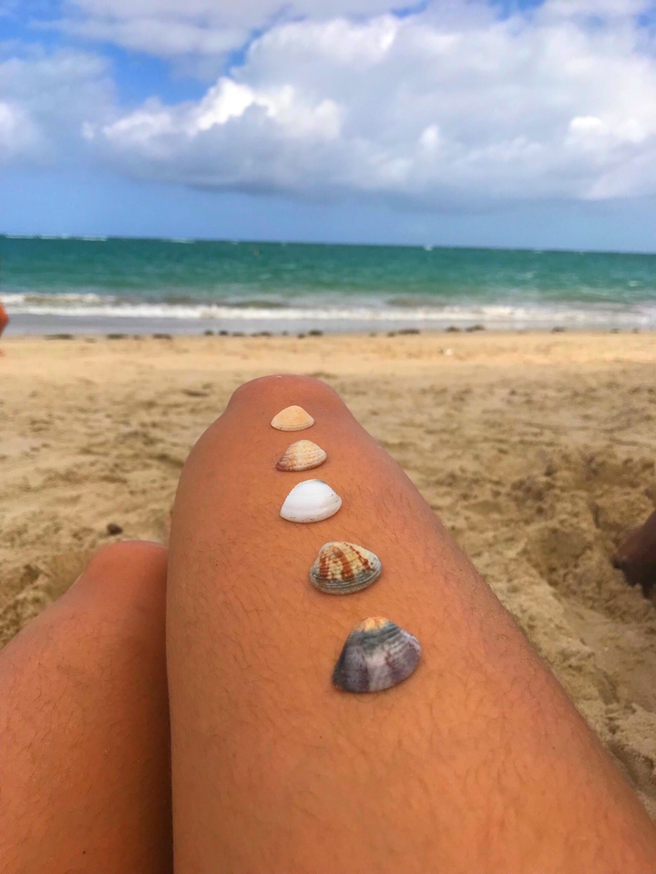 Tamandaré, Pernambuco - Brasil.