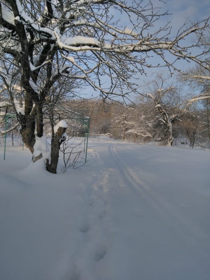 зима