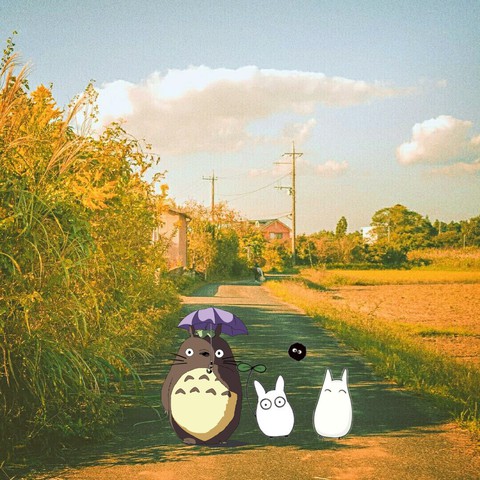 album my neighbor totoro