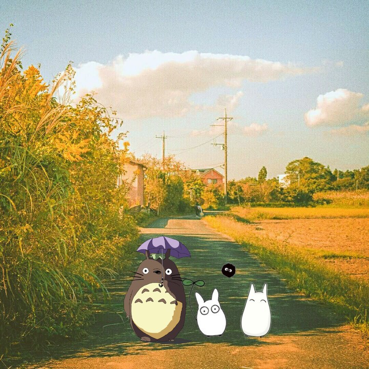 album my neighbor totoro