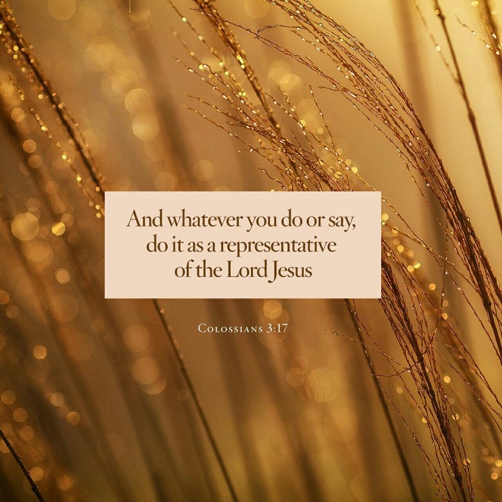 Colossians 3:17