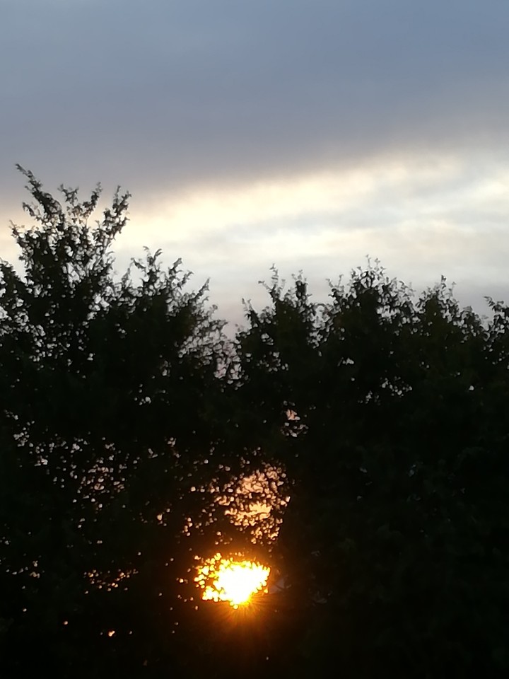 Sunrise