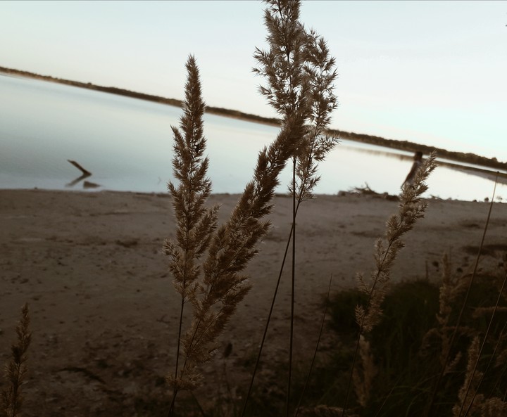 Синяя лагуна