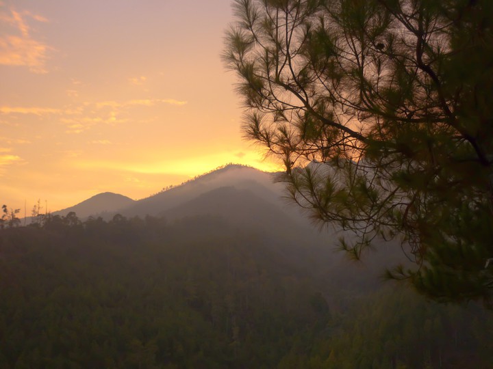 Twilight