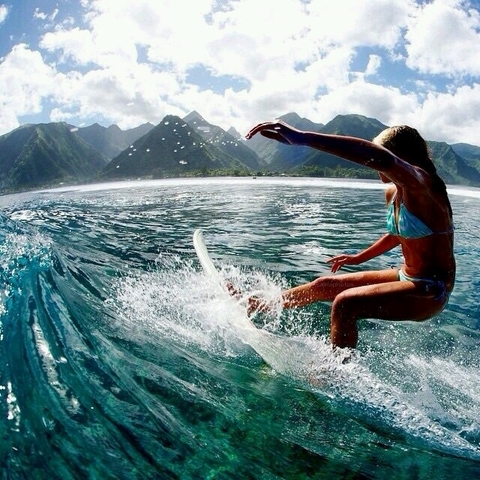 vamos surf