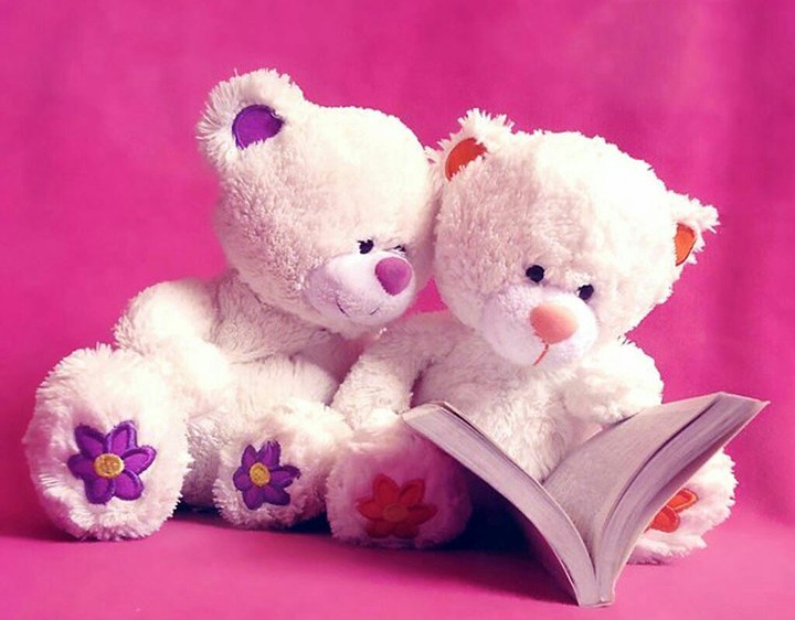 teddy