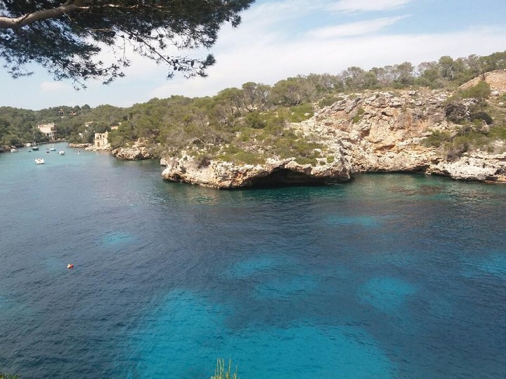 Corse
