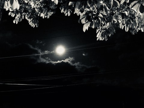 moon