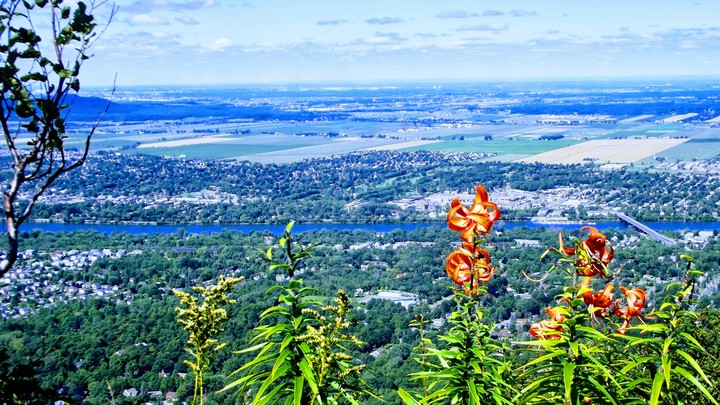 Vu de la montagne
