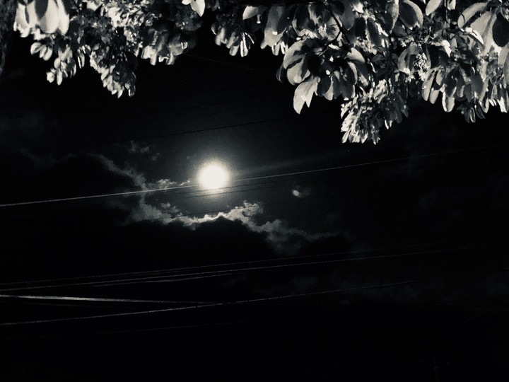 moon