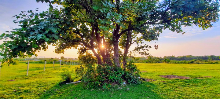 odisha kendujhar