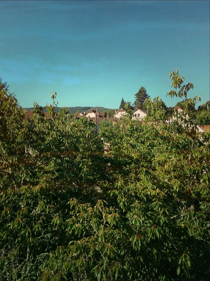 paysage