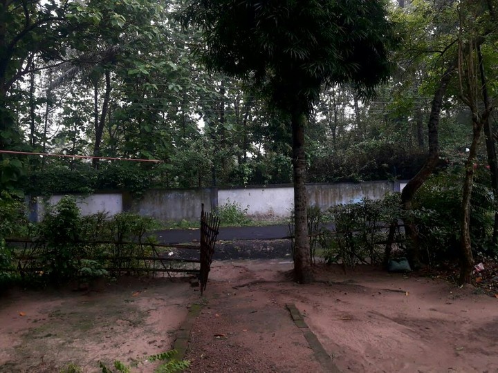 Monsoon