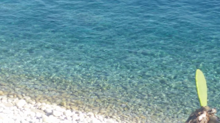 Beach on the island of Elba