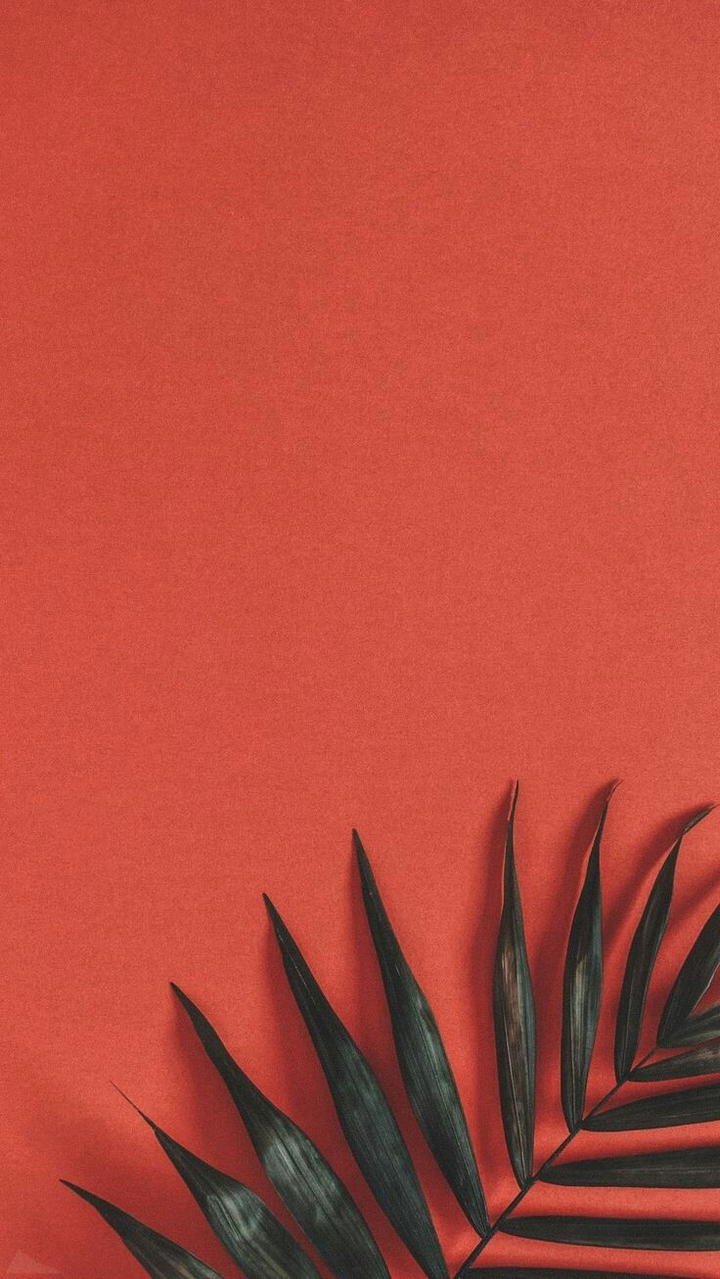 ❤