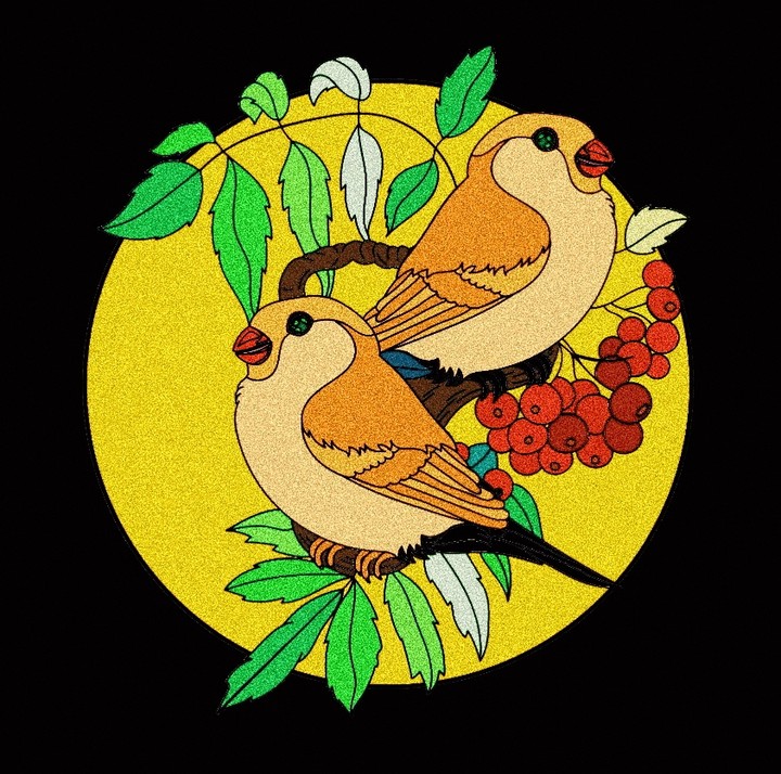 Birds #Alina