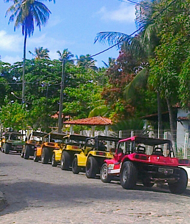 buggy