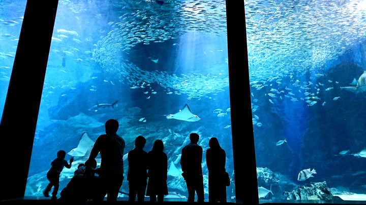 Aquarium