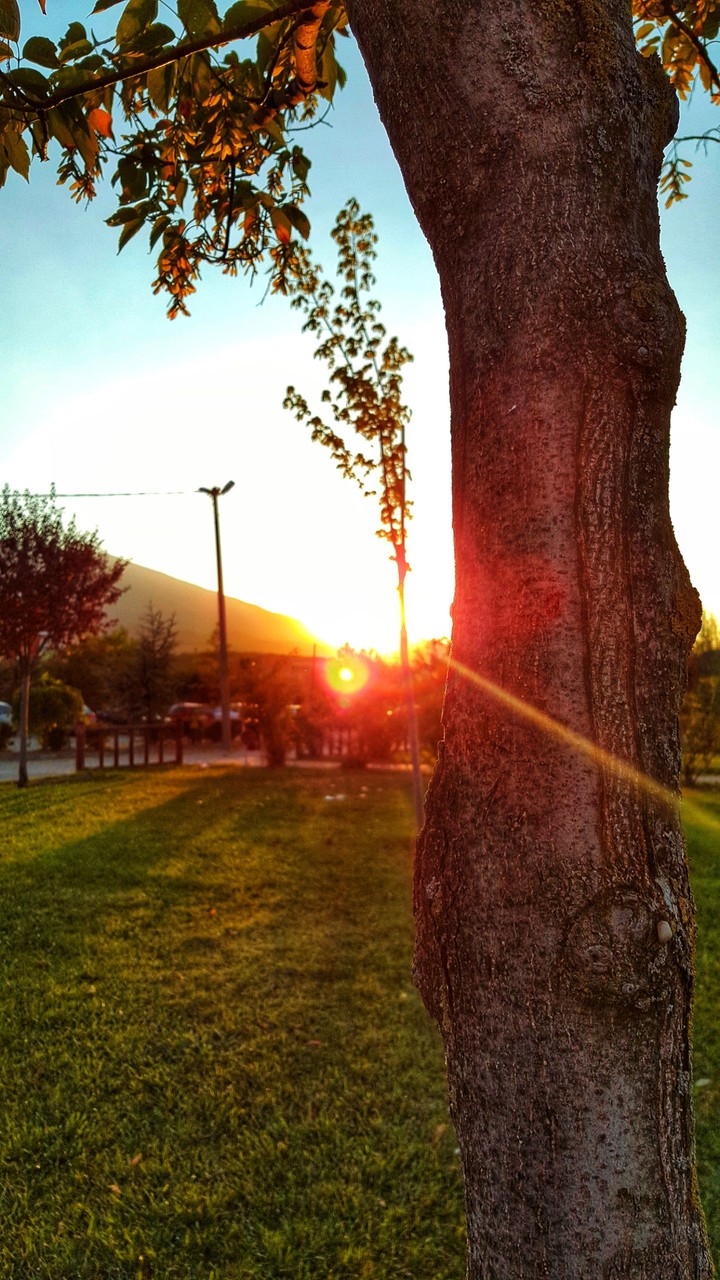 Sun