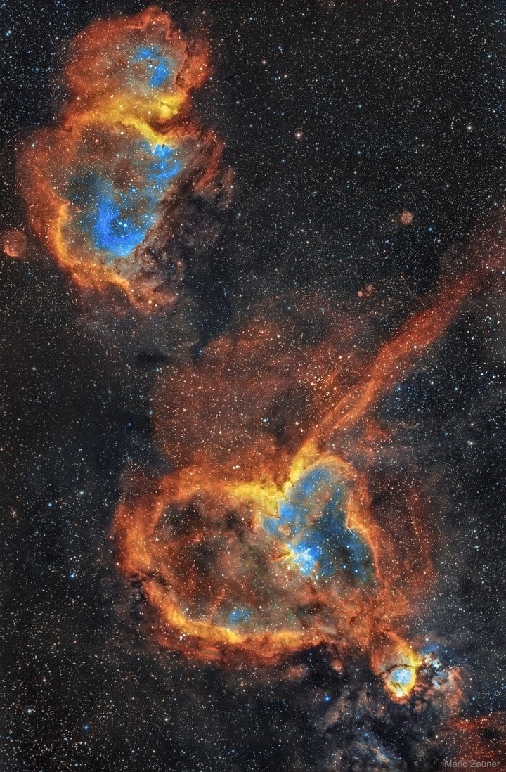 Cosmos