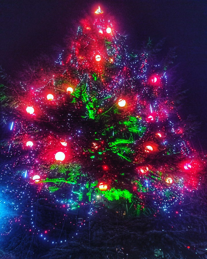 Christmas ??? tree