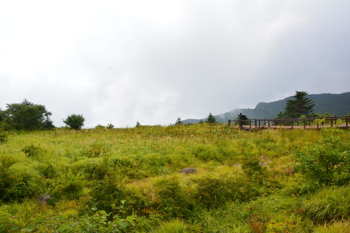 지리산이미지