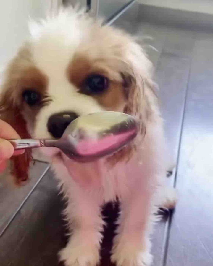 ?