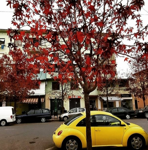 autumn