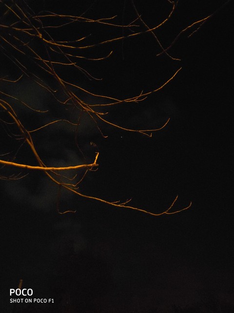 night sky