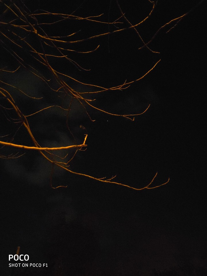 night sky