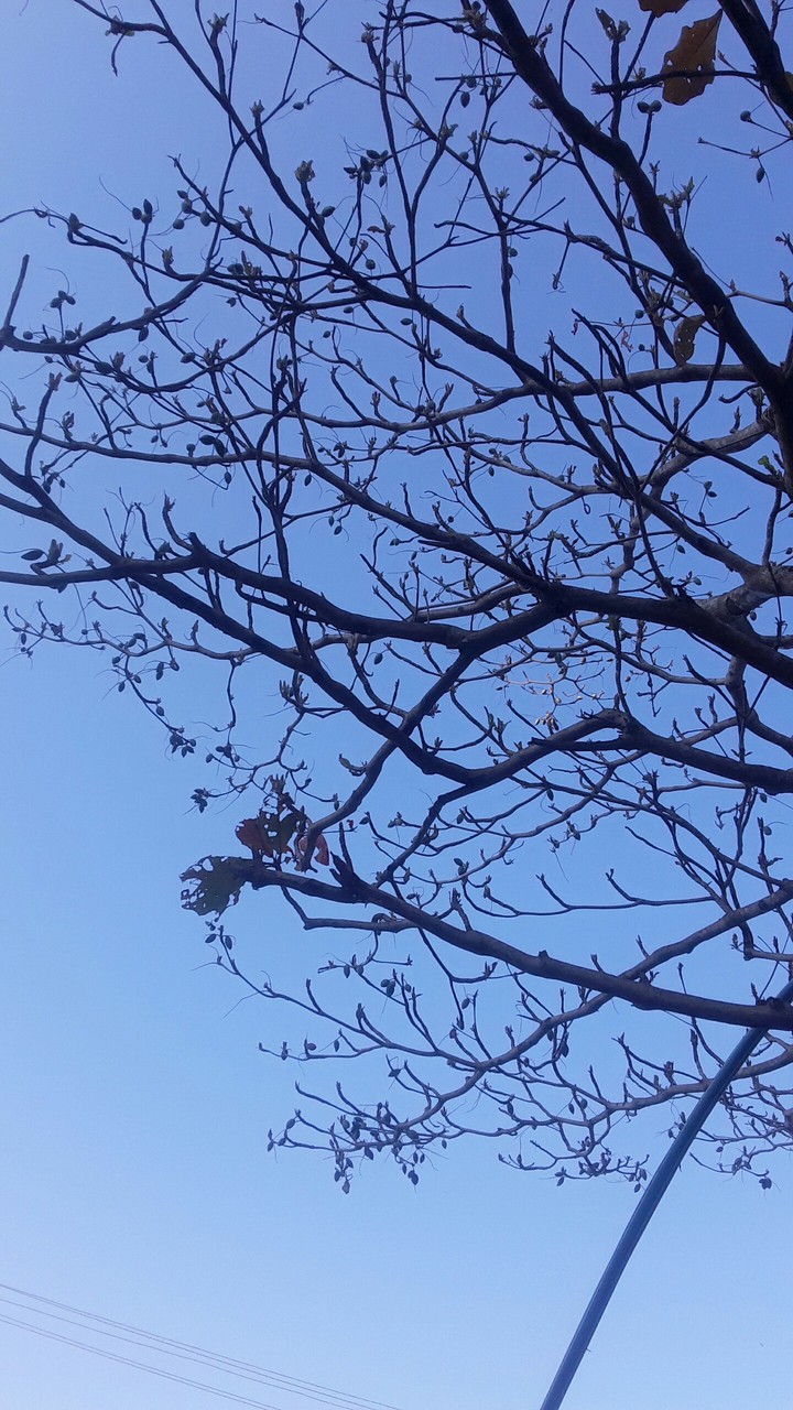 blue sky