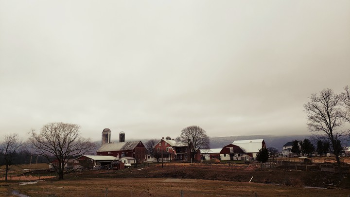 Old farm