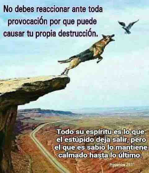 Ten Calma y sé Cauto ??