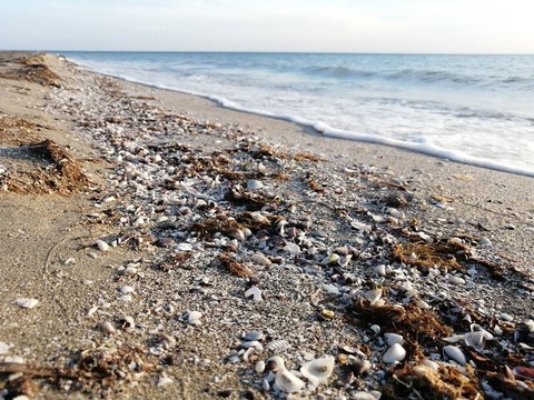 Seashore
