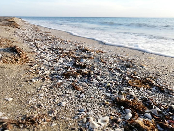 Seashore