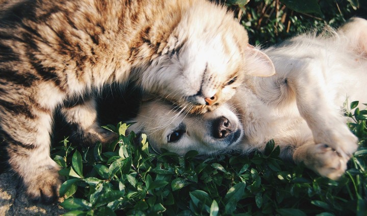 friends