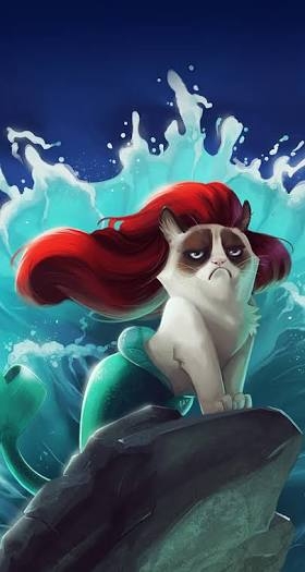 mermaid cat