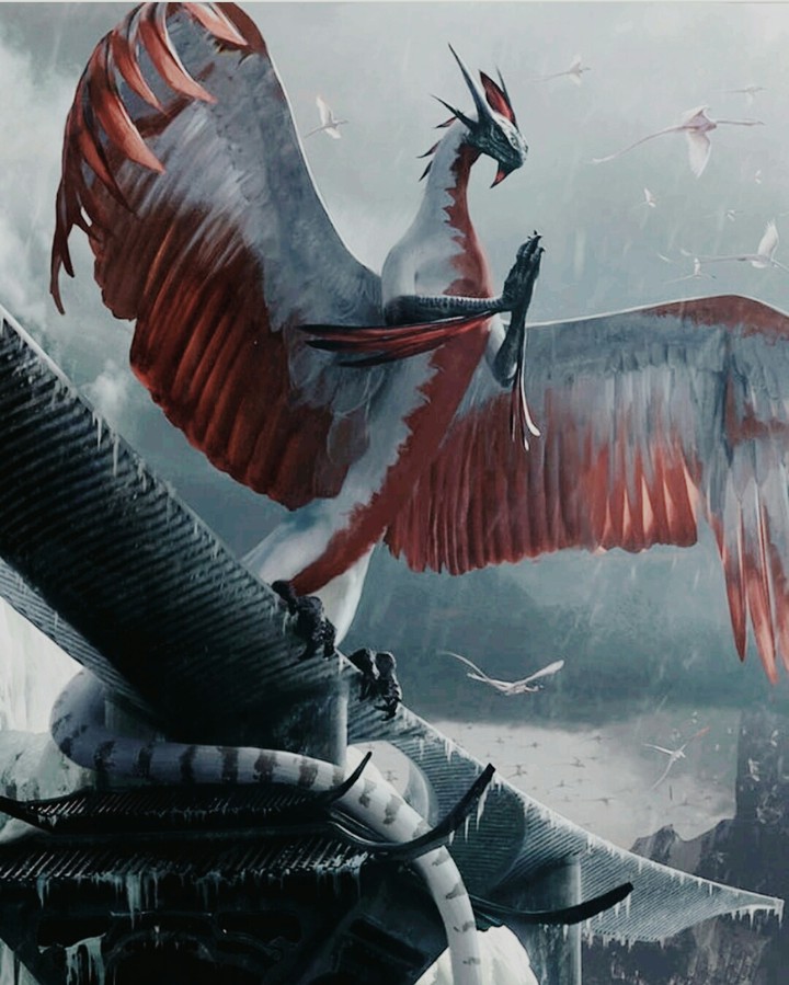 Dragón