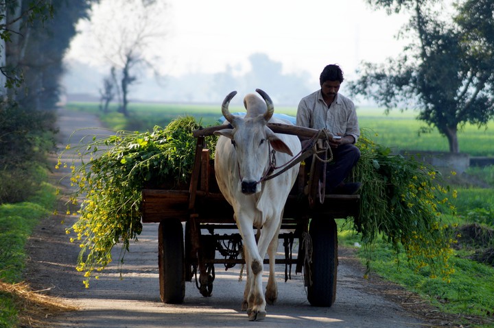 village life