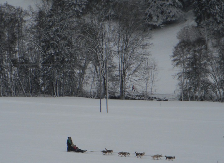 dashing through the snow