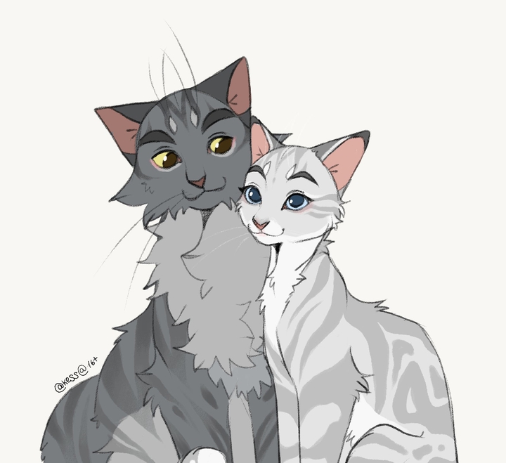 коты воители. Серебрянка и Крутобок
