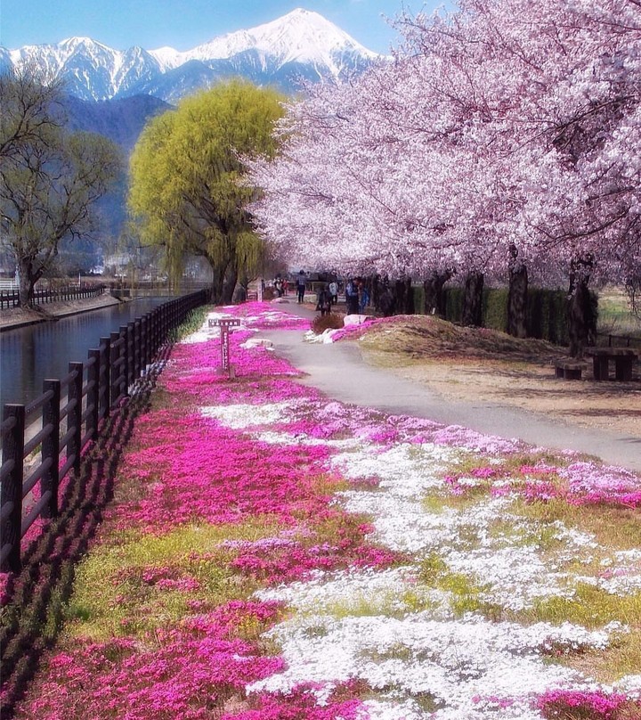 magic pink