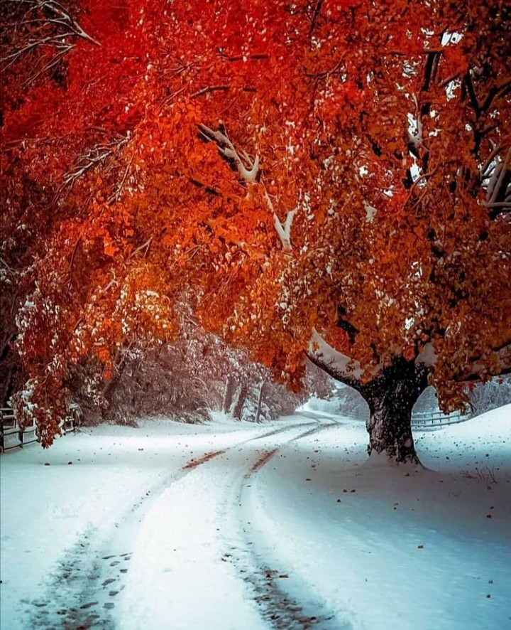 winter
