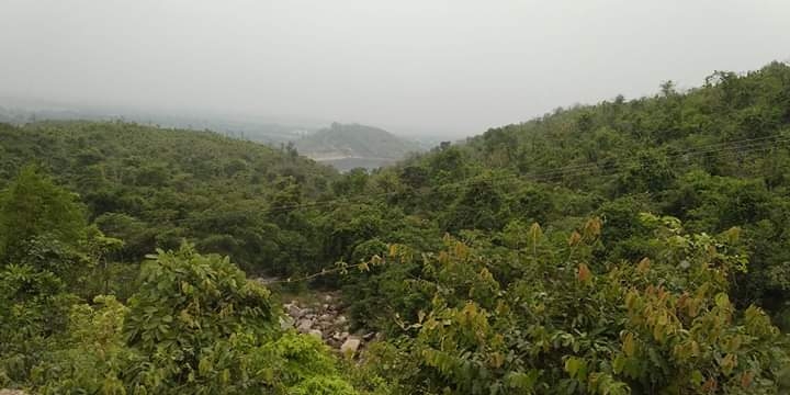 nature